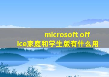 microsoft office家庭和学生版有什么用